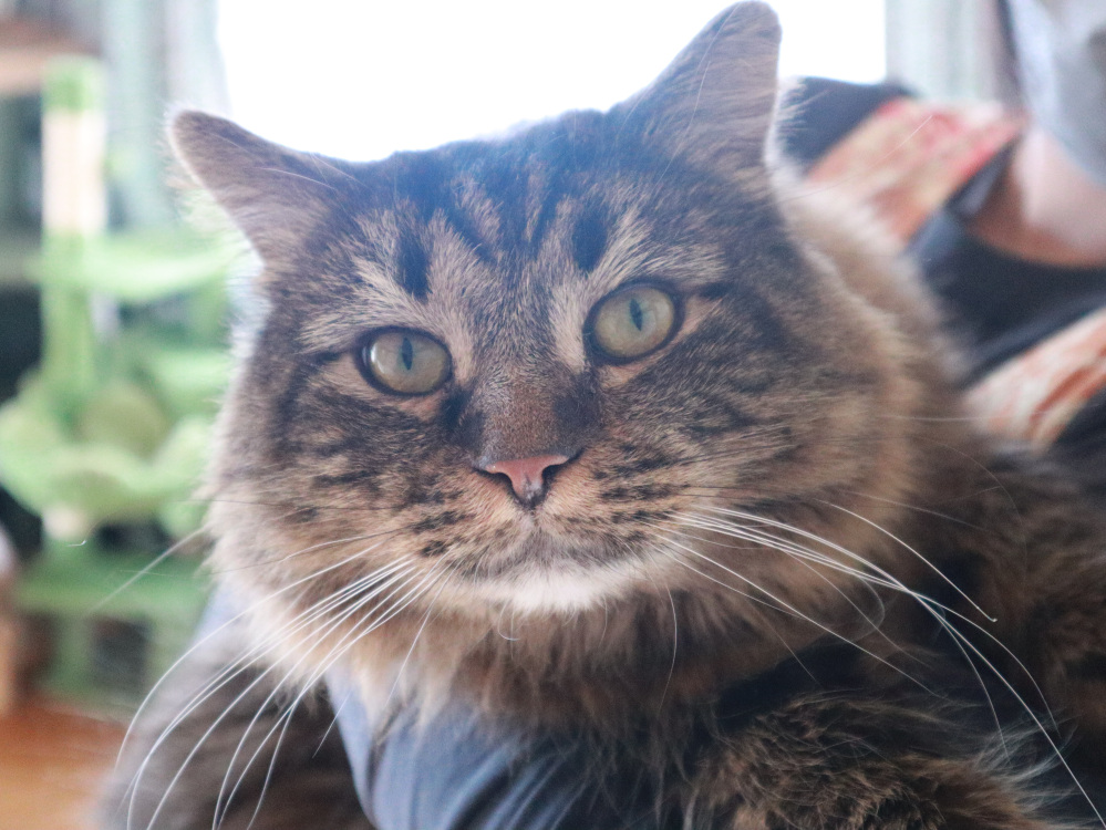 店長レオンくん