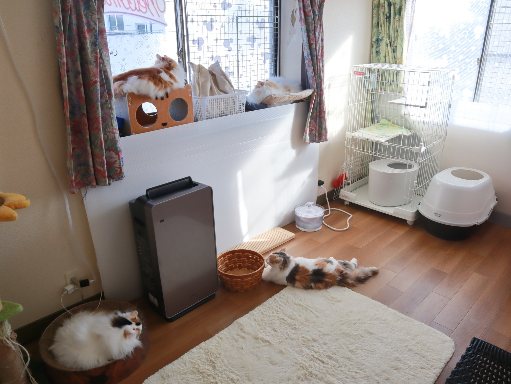 コンコン部屋
