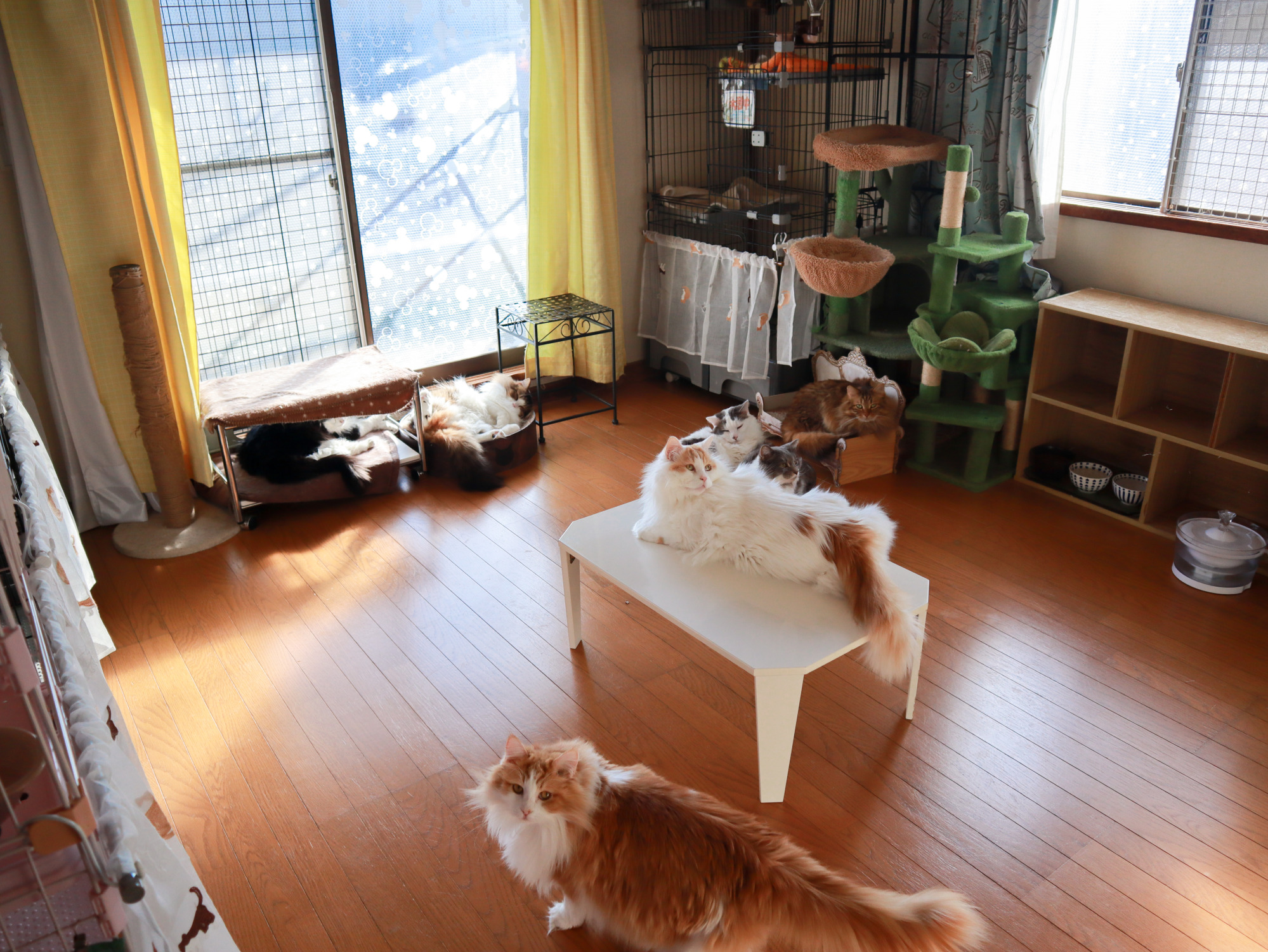 レオン部屋