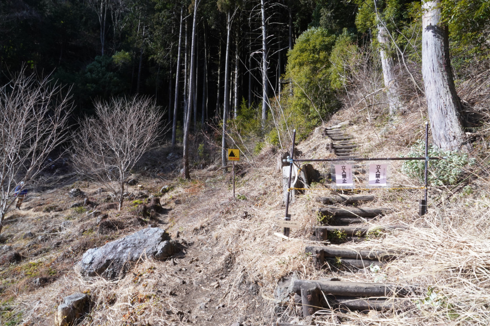 ⑩-1　迂回ルート分岐（山麓側）を画像左側へ進みます