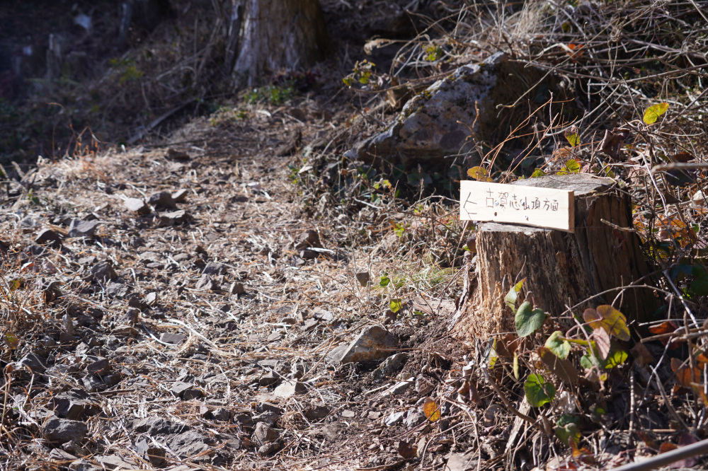 所々に案内板があります