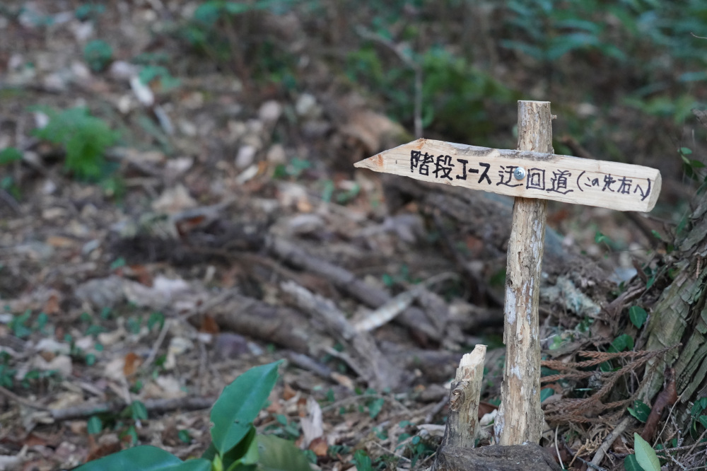 所々に案内板があります