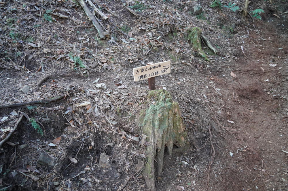 所々に案内板があります