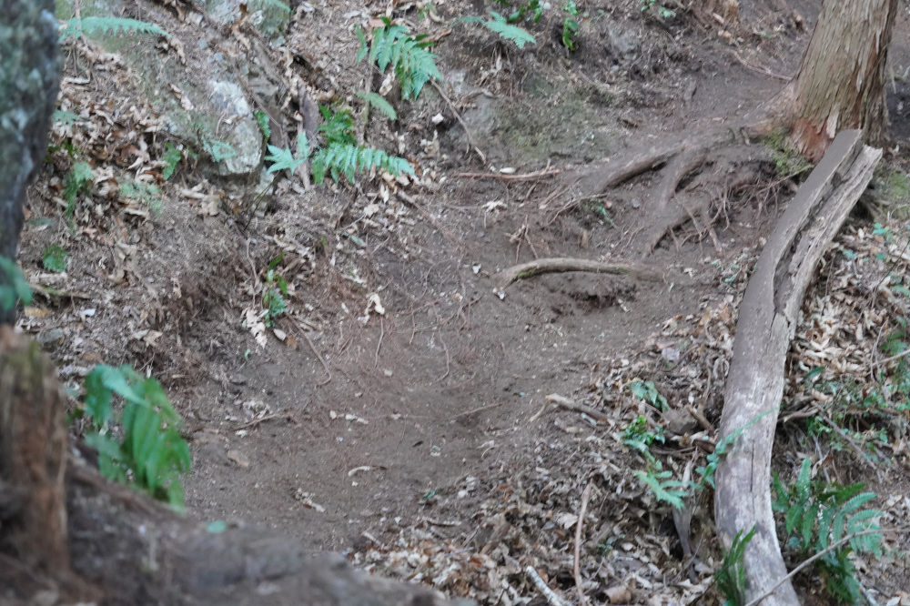 まだ踏み固められていないので滑りやすいです