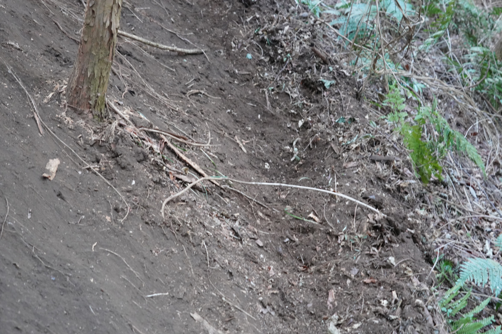 まだ踏み固められていないので滑りやすいです