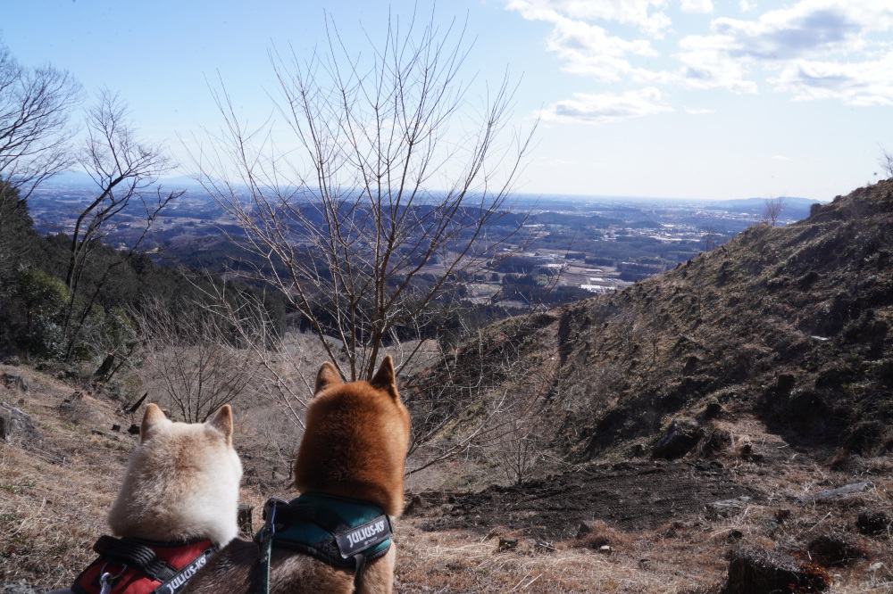 周辺の南側は伐採され、見晴らし良好！