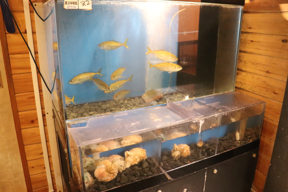 店内の生け簀には鯵やつぶ貝