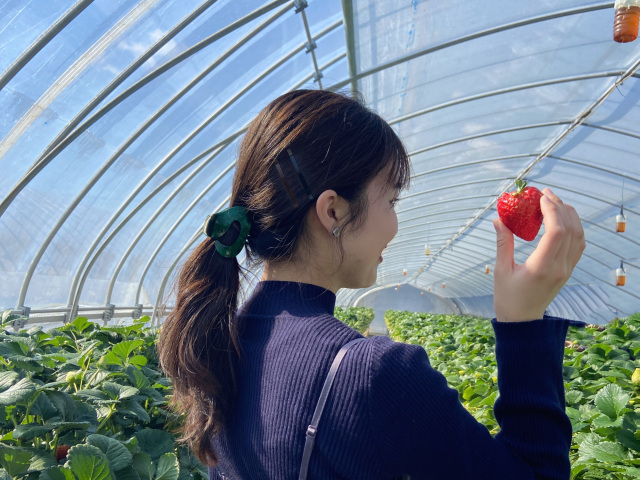 ご当地スーパーで買えるおすすめお土産10選in宇都宮