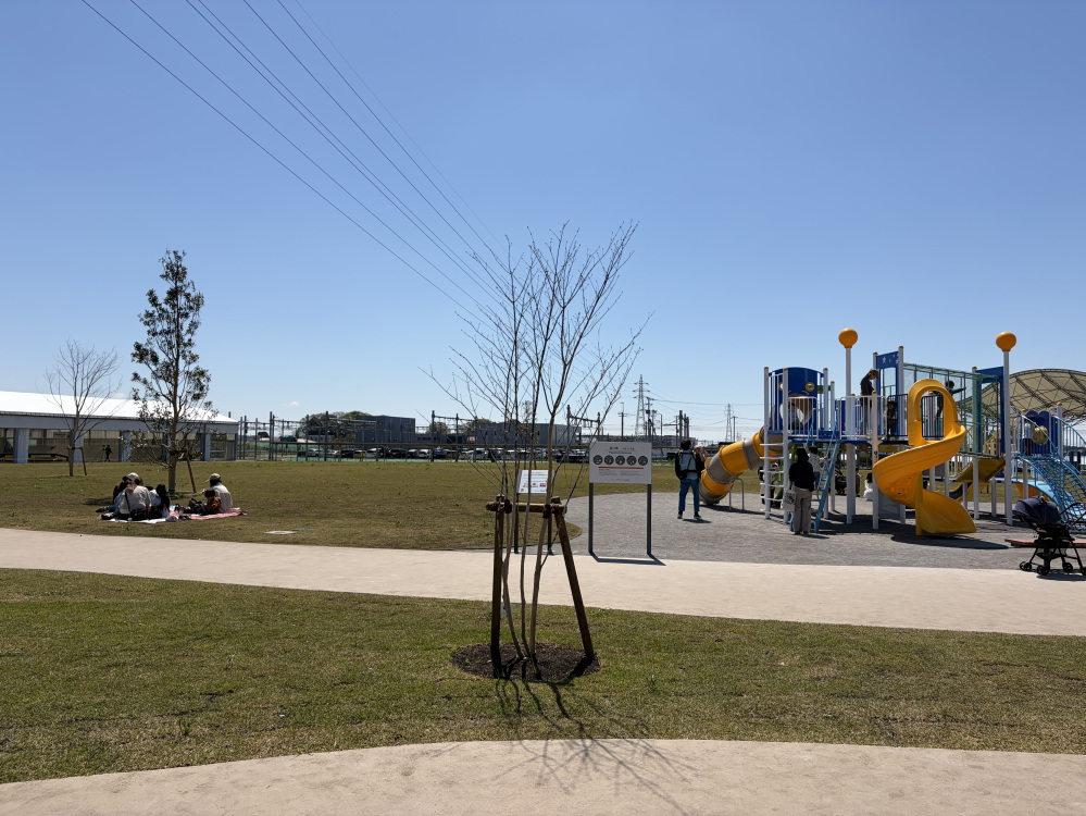 レジャーシートを敷いている方もいらっしゃいました◎