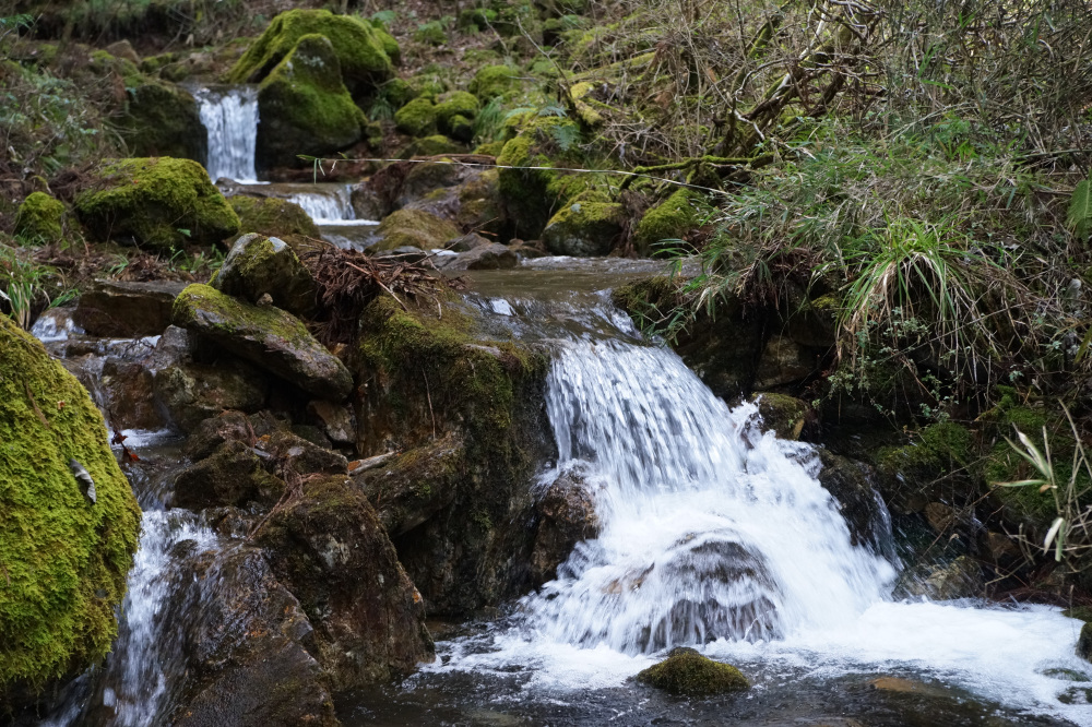 沢に下りられる場所もあります