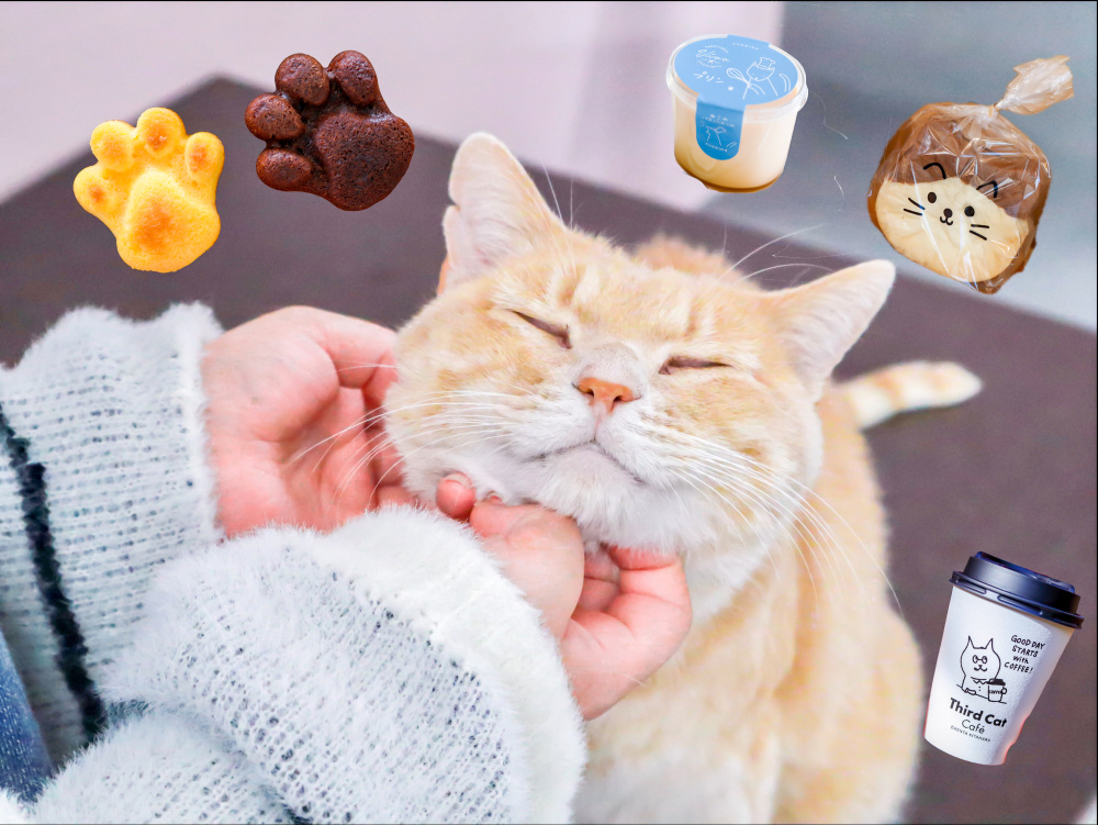 ほっこり猫モチーフグルメも♪
