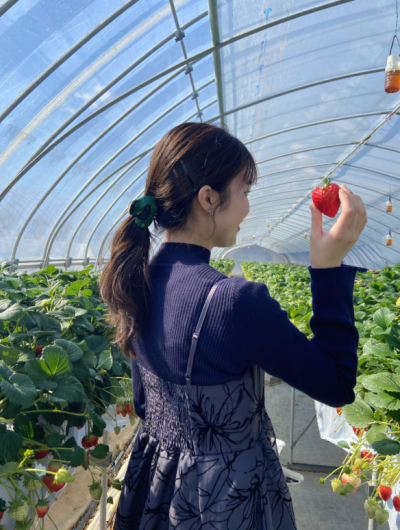 花歌