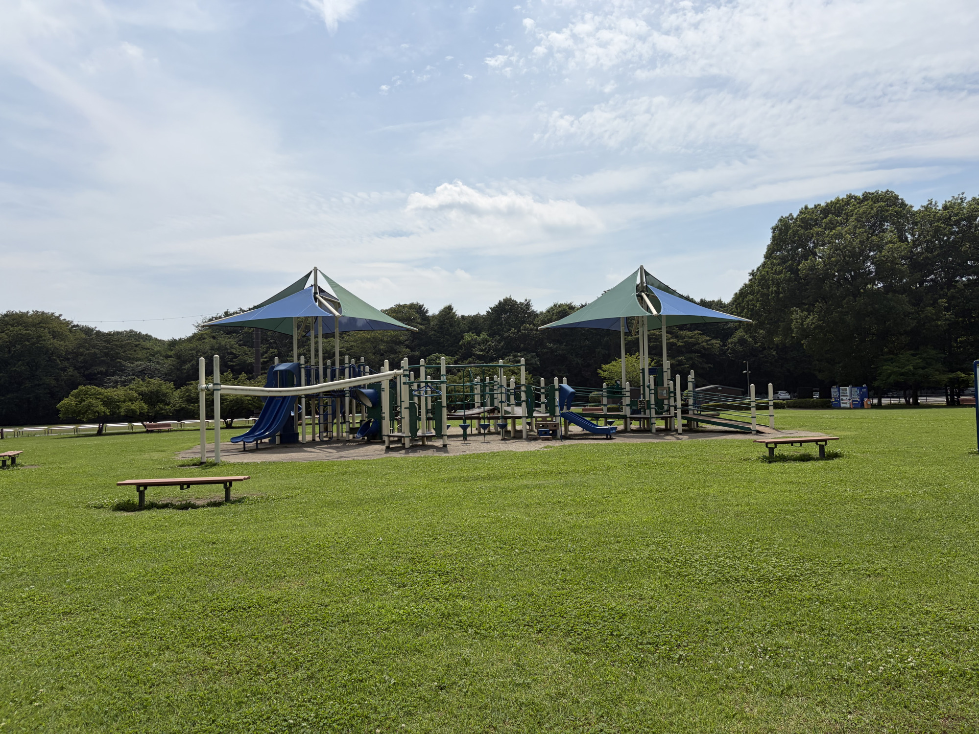 巨大な芝生の広場にある遊具