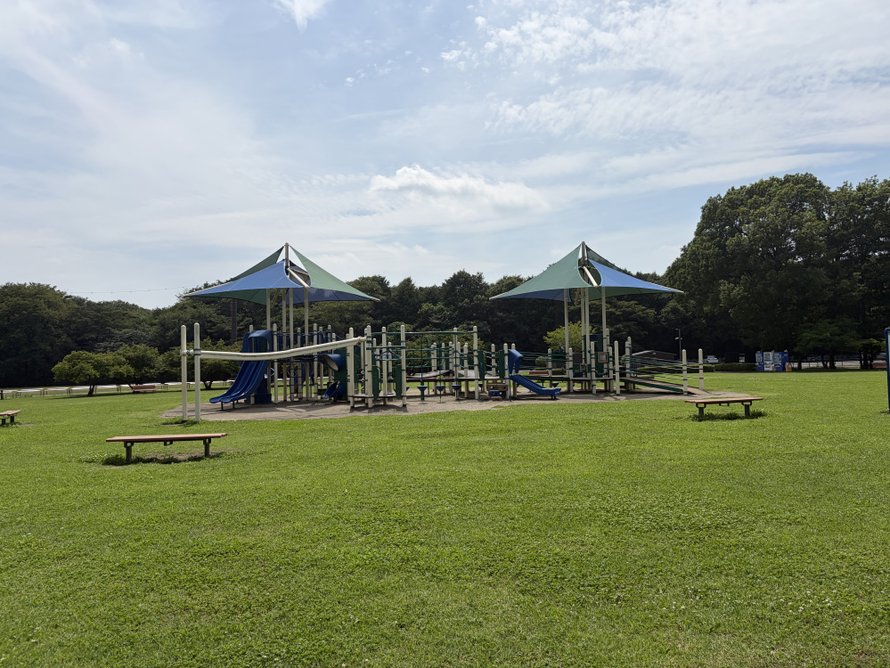 巨大な芝生の広場にある遊具