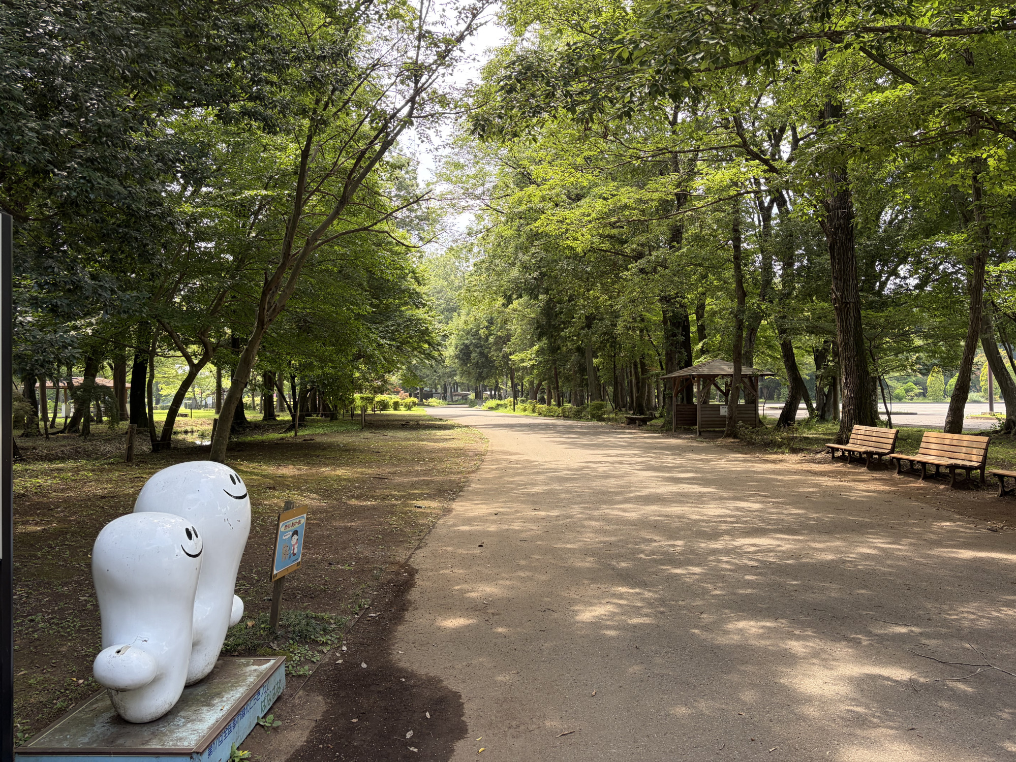 自然豊かな公園