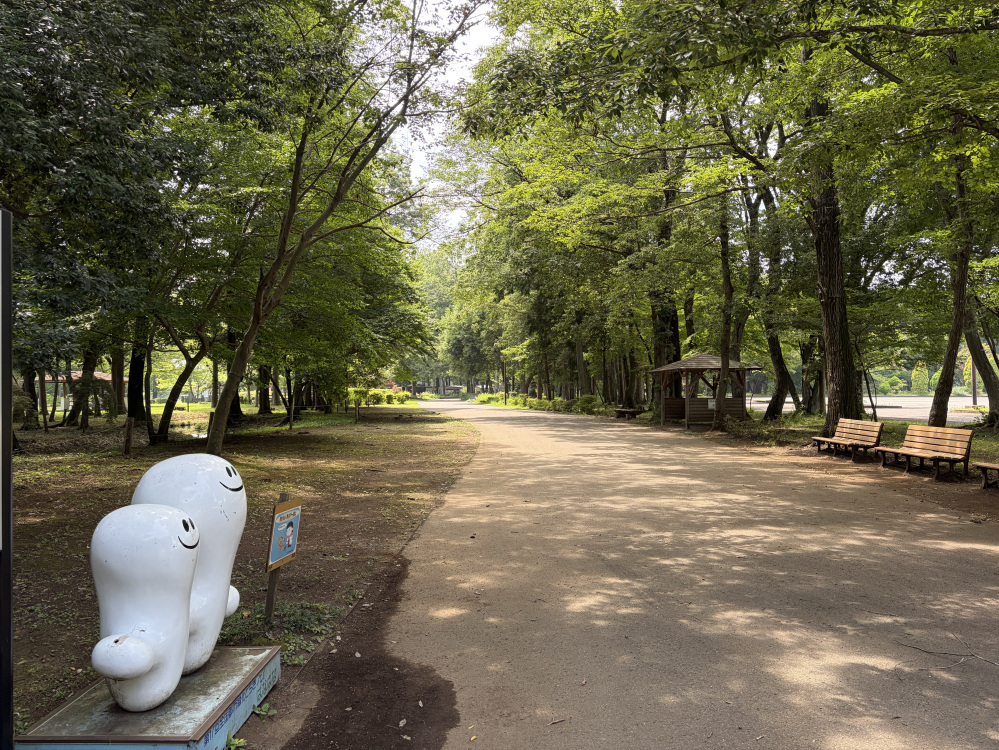 自然豊かな公園