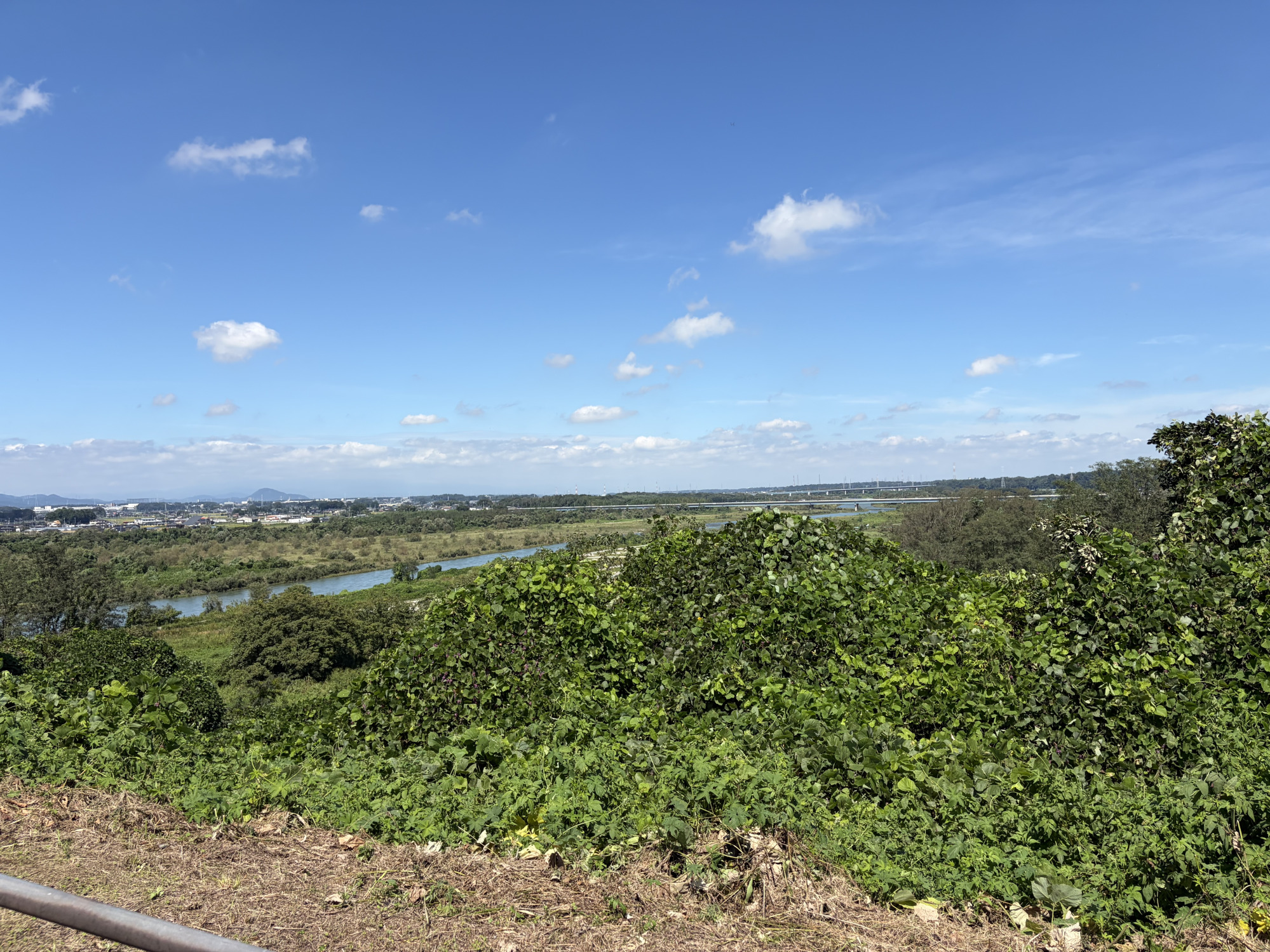景色も綺麗に見えます