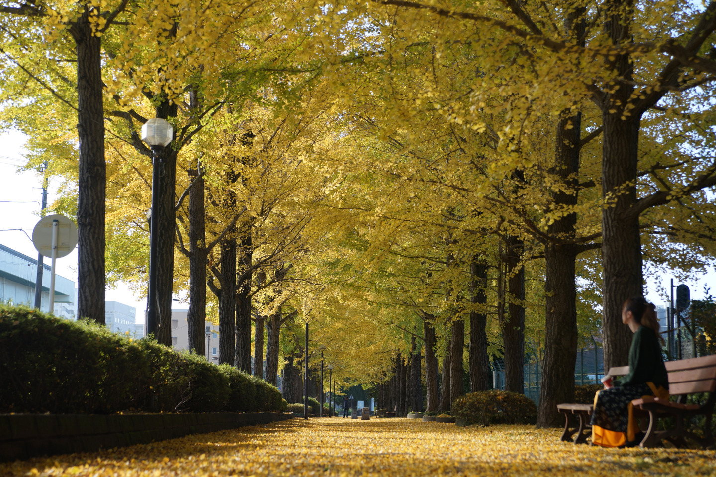 車なしでOK！宇都宮で朝活！早朝に絶景を堪能し、モーニングを楽しむ90分♪