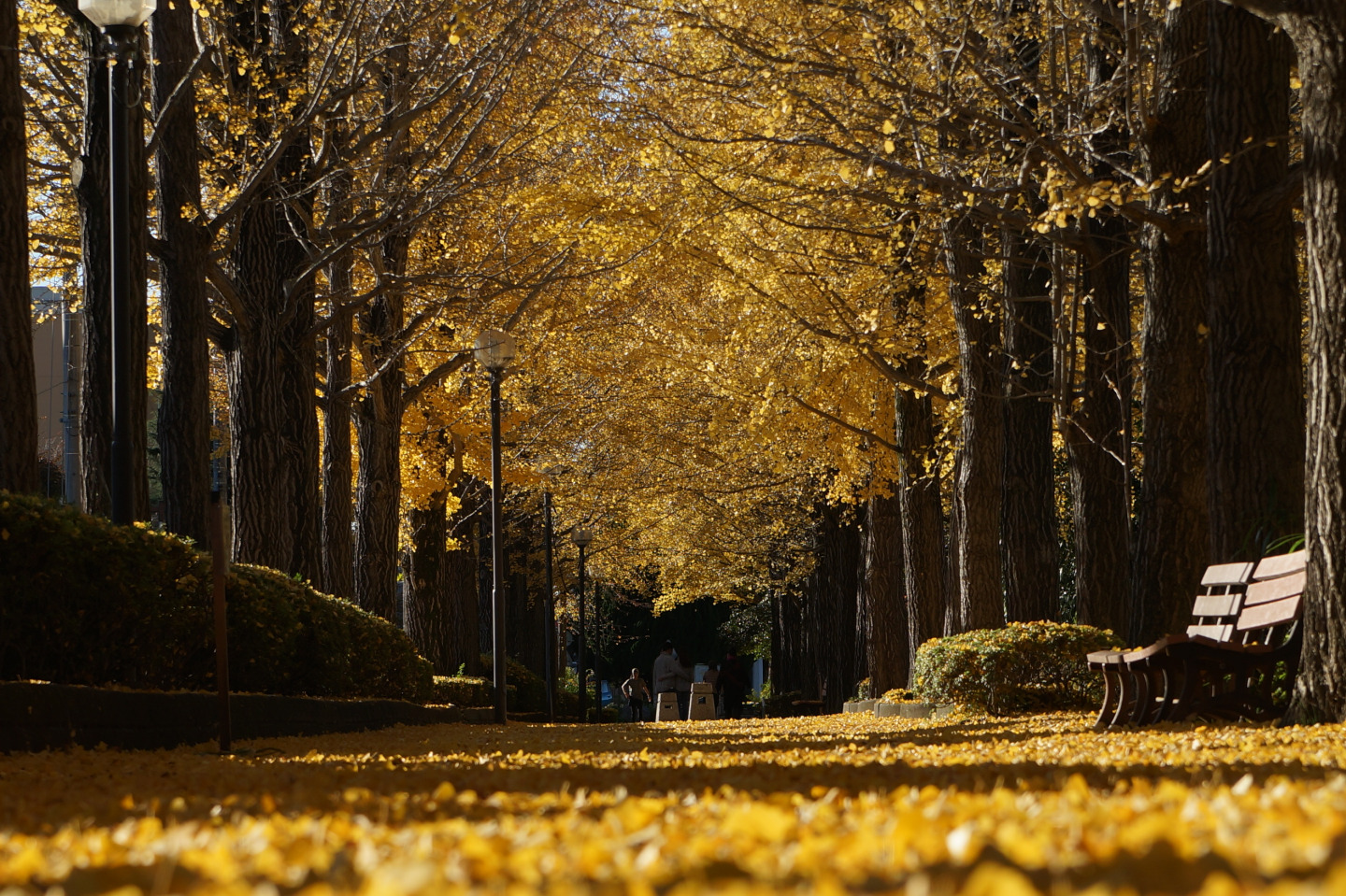 [ Undefined: coursed-title-plain ]