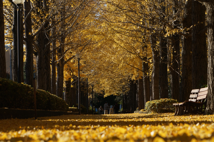 [ Undefined: coursed-title-plain ]