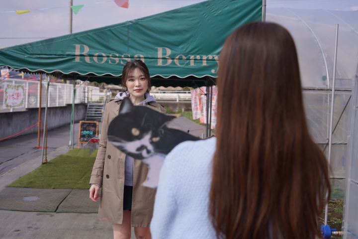 [ Undefined: coursed-title-plain ]