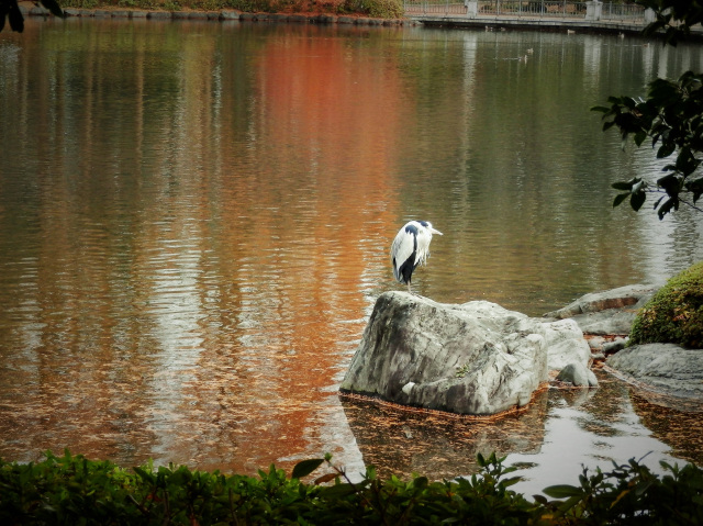 「一本足の思い」