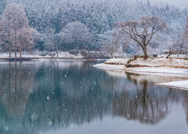 「厳冬のダム湖」