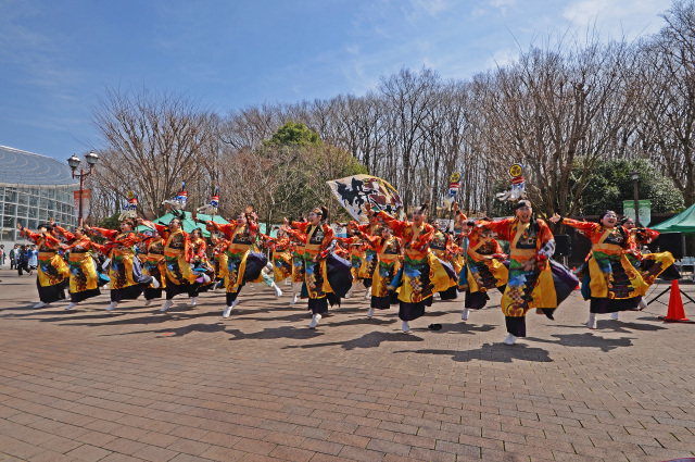 「踊り溢れる春ロマン」