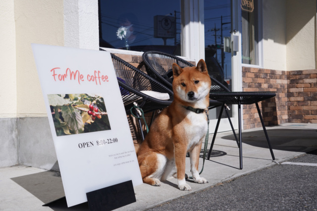 ペットとお出かけ♪~宇都宮郊外(JR宇都宮駅より南側)のカフェ・レストラン5選~