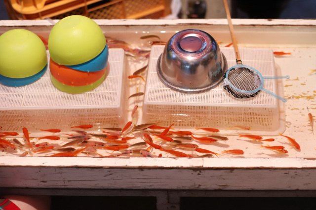 金魚すくい