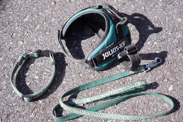 首輪（ハーネス）・リード