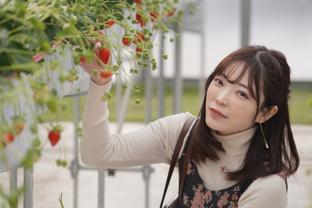 宇都宮市内で楽しめるおすすめいちご狩りスポット
