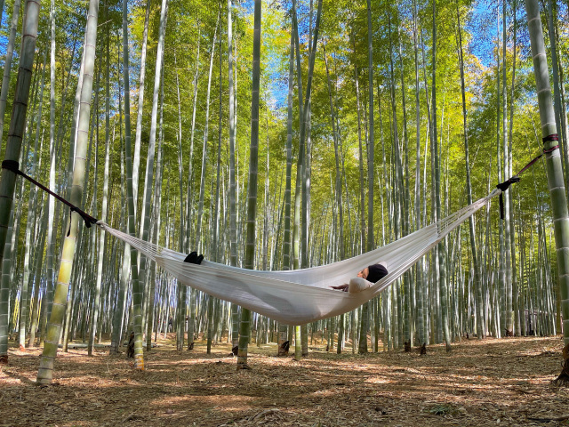 ハンモック体験