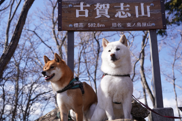 ペットとお出かけ♪～古賀志山ハイキング・南コース往復～