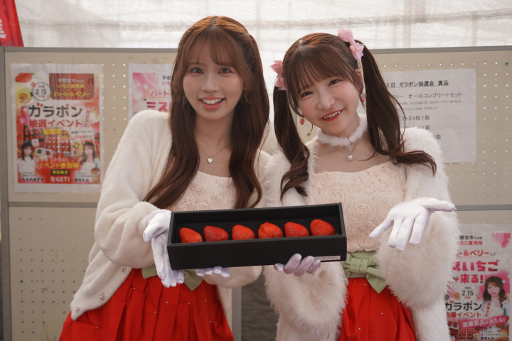 宇都宮の朝摘みいちごをその日のうちに！市内のいちご直売所7選♪