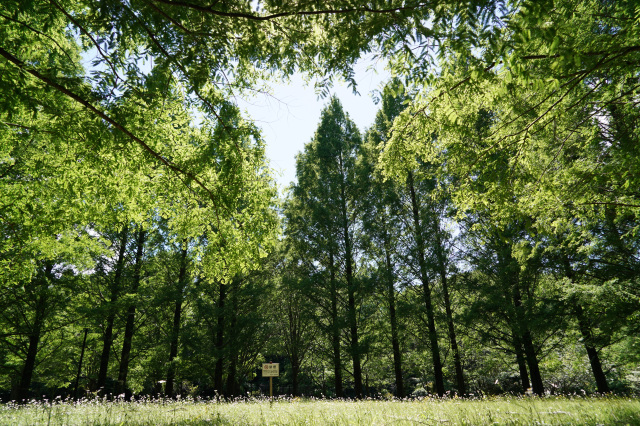 長岡公園