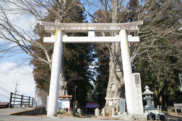 智賀都神社
