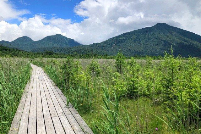 戦場ヶ原（日光市）
