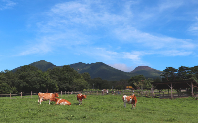 那須高原南ヶ丘牧場（那須町）