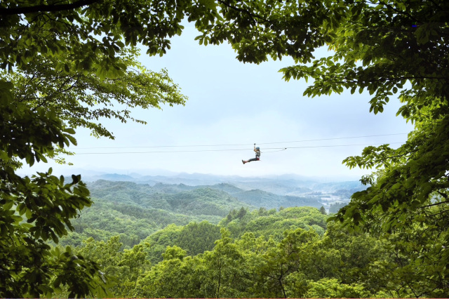 モビリティリゾートもてぎ（茂木町）