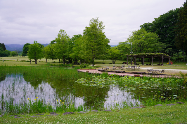 日光だいや川公園（日光市）