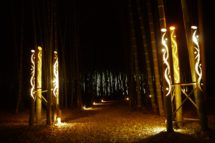 若山農場の竹灯り