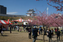 宇都宮城桜祭り