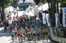 2020　JAPAN CUP CYCLE ROAD RACE in UTSUNOMIYA